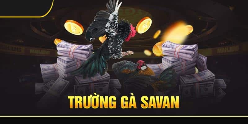 Hướng dẫn đăng ký Trường Gà Savan chi tiết