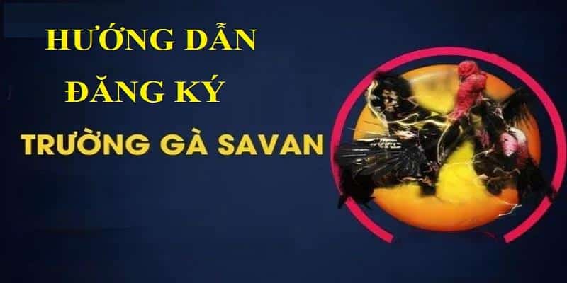 Top câu hỏi được nhiều người quan tâm nhất khi đăng ký Trường Gà Savan