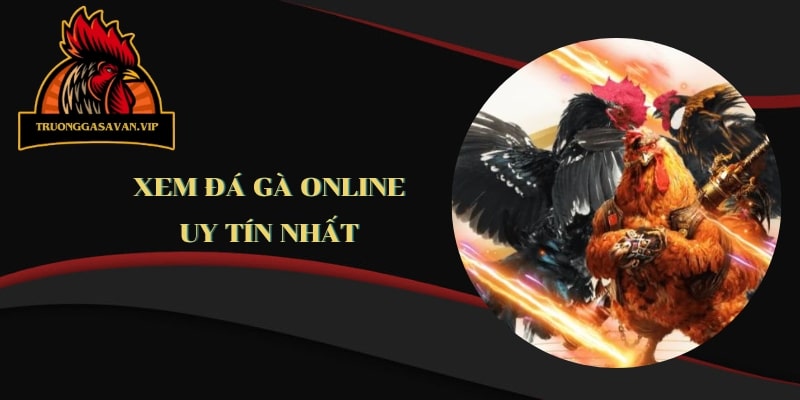 Xem Đá Gà Online: Xem Đá Gà Chưa Từng Dễ Đến Thế